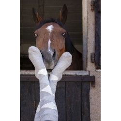 EQUITHÈME "Girly" Socken