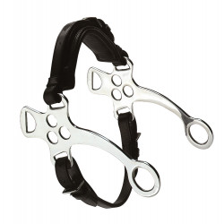 FEELING Hackamore Anz?ge 2