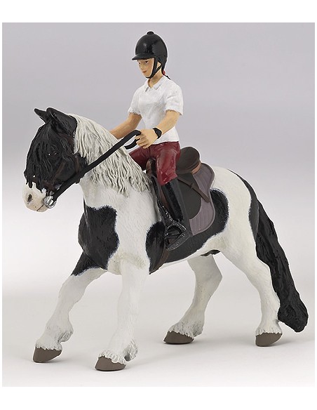 Poney sell? et harnach? PAPO