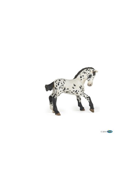 Poulain Appaloosa noir PAPO