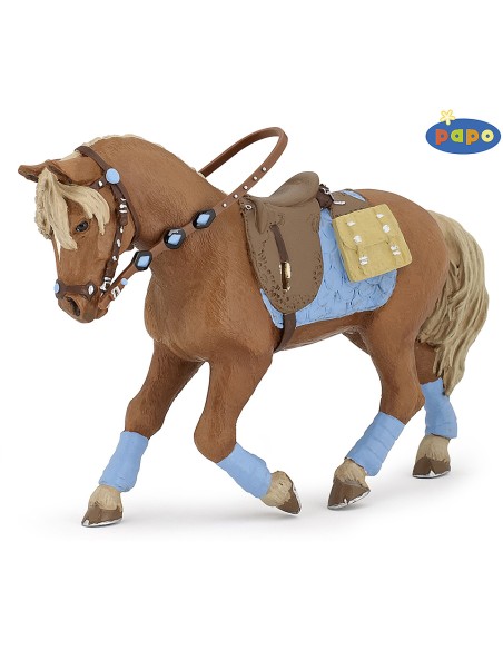 Cheval du jeune cavalier PAPO