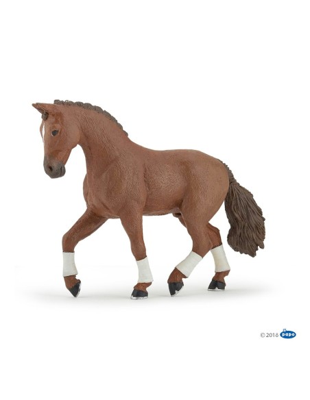 Cheval Hanovrien Alezan PAPO