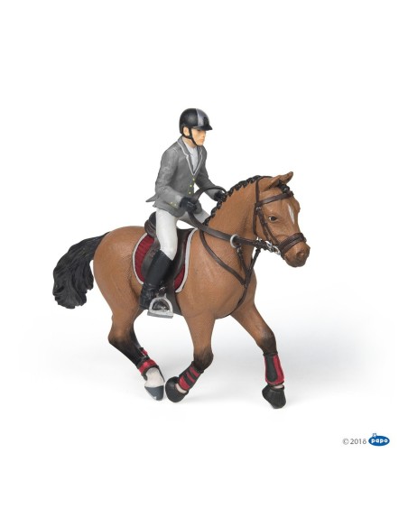 PAPO Cheval concours & cavalier