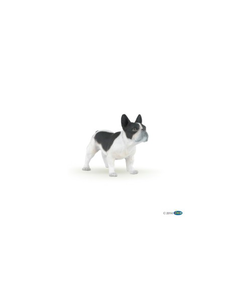Bouledogue fran?ais noir et blanc PAPO