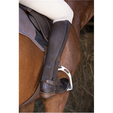 Mini-chaps EQUITHÈME cuir