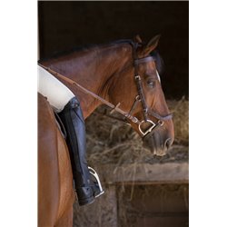 EQUITHÈME "Premium" Mini-Chaps 2