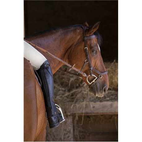 EQUITHÈME "Premium" Mini-Chaps
