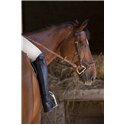 EQUITHÈME "Premium" Mini-Chaps