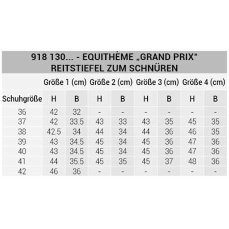 Bottes EQUITHÈME "Grand Prix" à  lacets