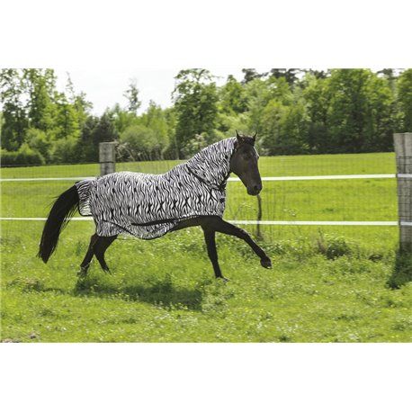 Netzdecke RIDING WORLD "Combo"