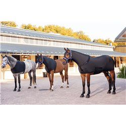 EQUITH?ME Schulterschutz 2