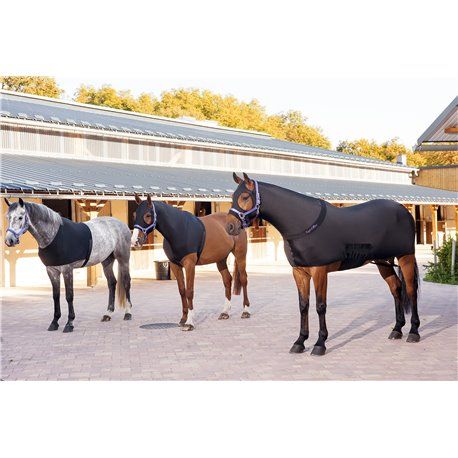 EQUITH?ME Schulterschutz