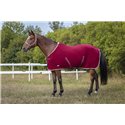 Chemise polaire EQUITHÈME "Polyfun"