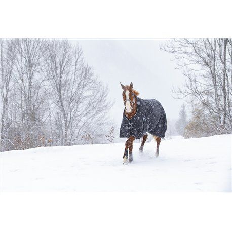 RIDING WORLD "Oxford" wasserdichte Decke mit Polar Fleece Futter
