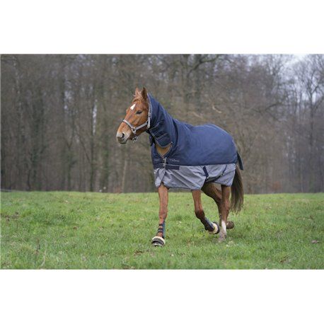 EQUITHÈME "TYREX 600 D" Combo Decke