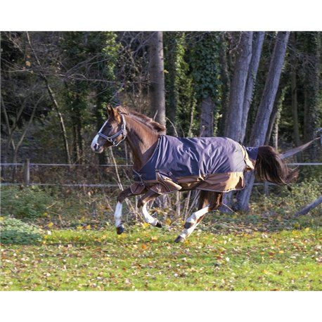EQUITHÈME TYREX 600D "Aisance" Decke