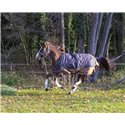 EQUITHÈME TYREX 600D "Aisance" Decke