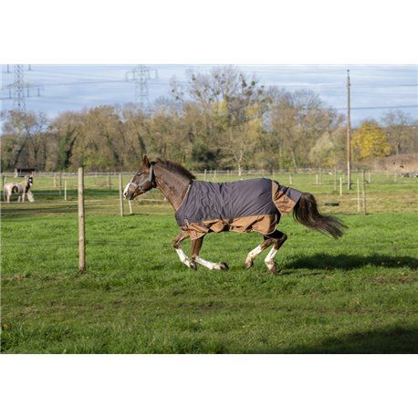 EQUITHÈME TYREX 600D "Aisance" Decke