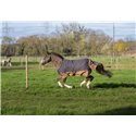 EQUITHÈME TYREX 600D "Aisance" Decke