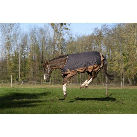 EQUITHÈME TYREX 600D "Aisance" Decke