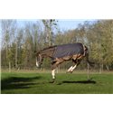 EQUITHÈME TYREX 600D "Aisance" Decke