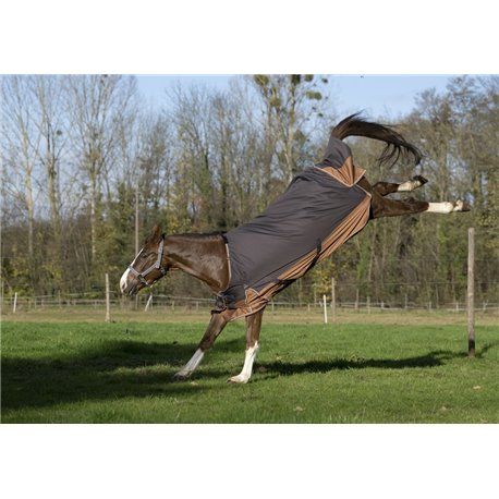 EQUITHÈME TYREX 600D "Aisance" Decke
