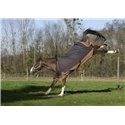 EQUITHÈME TYREX 600D "Aisance" Decke