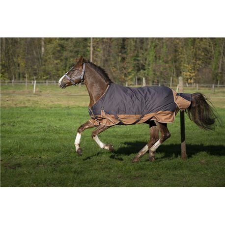 EQUITHÈME TYREX 600D "Aisance" Decke