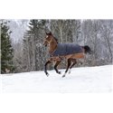 EQUITHÈME TYREX 600D "Aisance" Decke