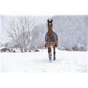 EQUITHÈME TYREX 600D "Aisance" Decke