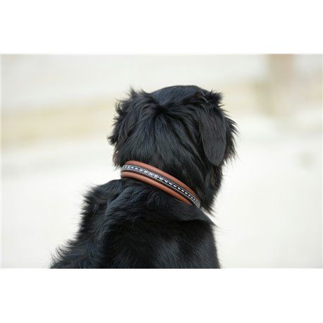 Collier pour chien PENELOPE "Point Sellier"