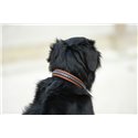 Collier pour chien PENELOPE "Point Sellier"