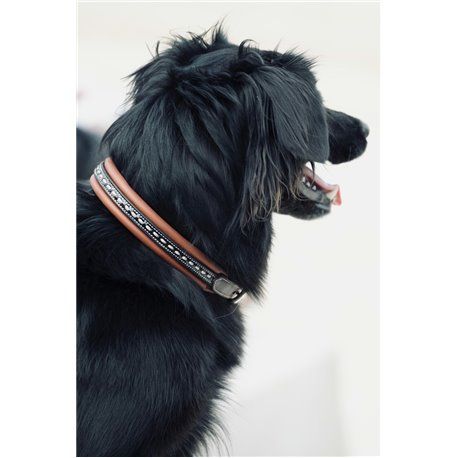 Collier pour chien PENELOPE "Point Sellier"