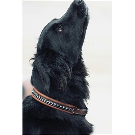 Collier pour chien PENELOPE "Point Sellier"