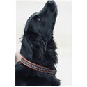 Collier pour chien PENELOPE "Point Sellier"