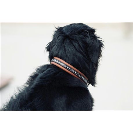 Collier pour chien PENELOPE "Point Sellier"