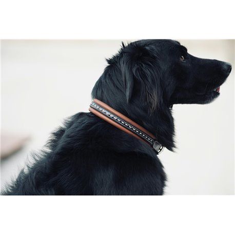 Collier pour chien PENELOPE "Point Sellier"