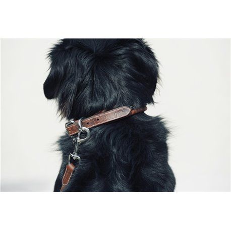 Collier pour chien PENELOPE "Point Sellier"
