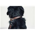Collier pour chien PENELOPE "Point Sellier"