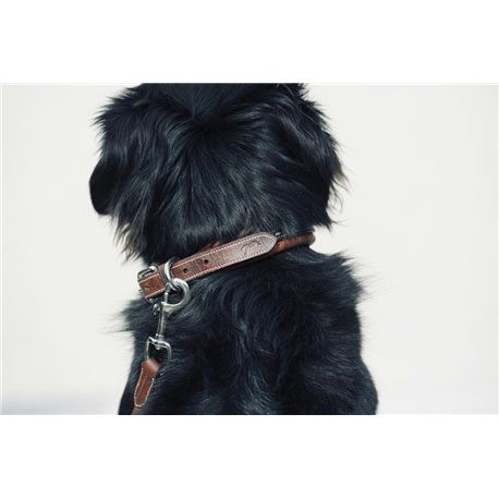 Collier pour chien PENELOPE "Point Sellier"