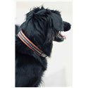 Collier pour chien PENELOPE "Point Sellier"