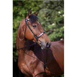 Bridon RIDING WORLD "Muserolle fran?aise" 2