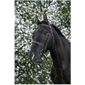 RIDING WORLD Trensenzaum mit französischem Nasenriemen