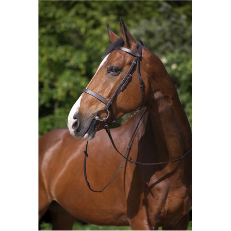RIDING WORLD Trensenzaum mit französischem Nasenriemen
