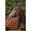 RIDING WORLD Trensenzaum mit französischem Nasenriemen