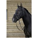 RIDING WORLD Trensenzaum mit kombiniertem Reithalfter