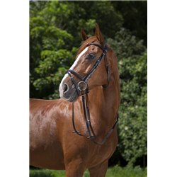 Bridon RIDING WORLD "Muserolle combin?e" 2