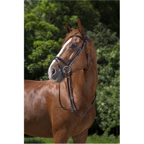 RIDING WORLD Trensenzaum mit kombiniertem Reithalfter