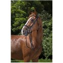 RIDING WORLD Trensenzaum mit kombiniertem Reithalfter