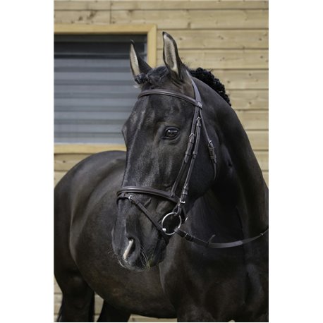 RIDING WORLD Trensenzaum mit kombiniertem Reithalfter